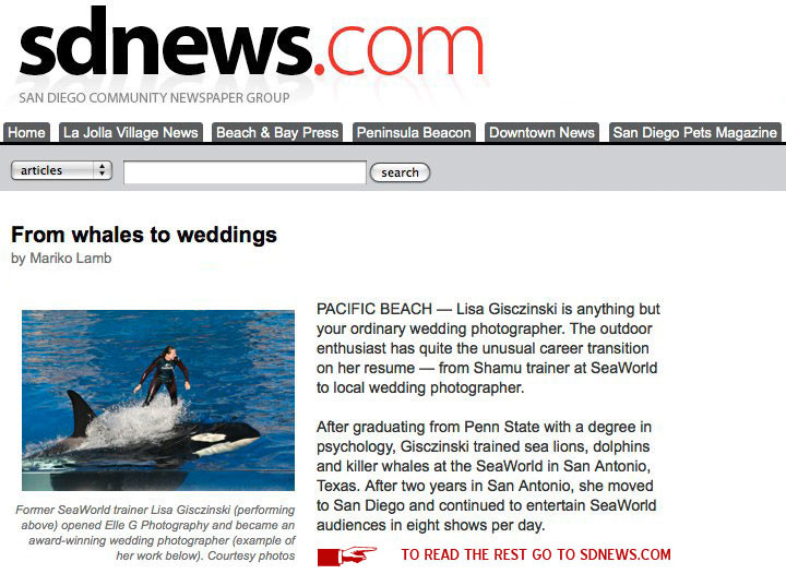 From-whales-to-weddings