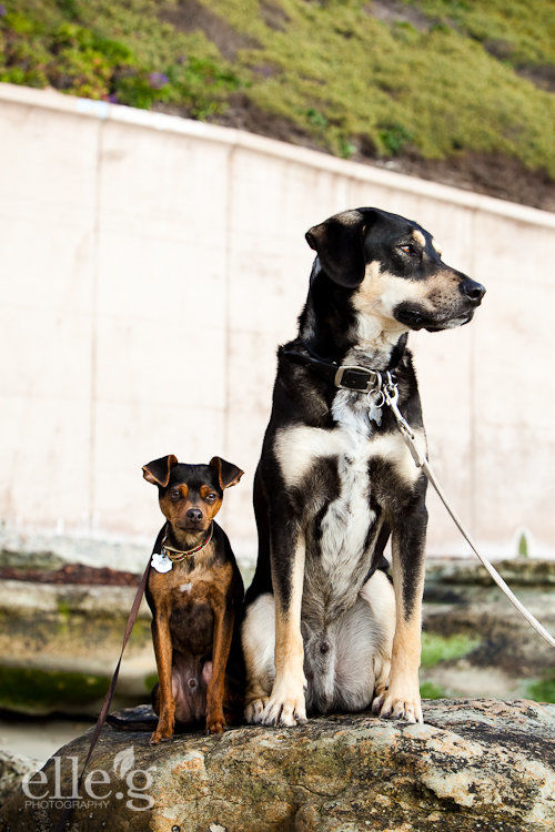 san-diego-engagement-session san-diego-engagement-photographer