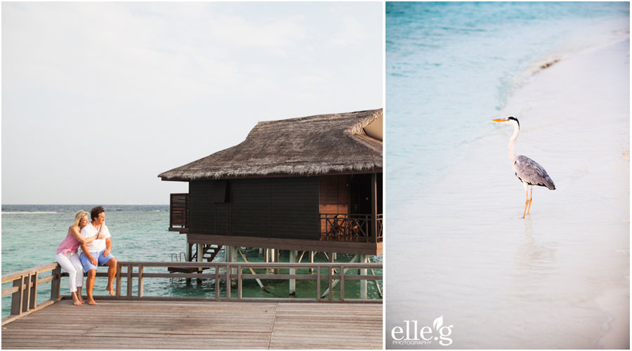 destination-wedding-photographer destination wedding photographers