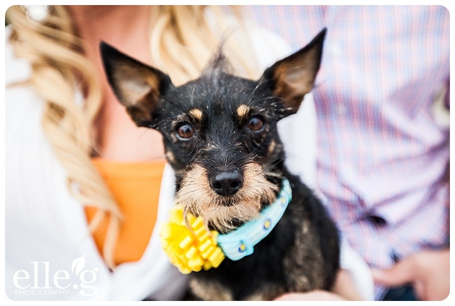 0021engagement-photos-elle-g-photography