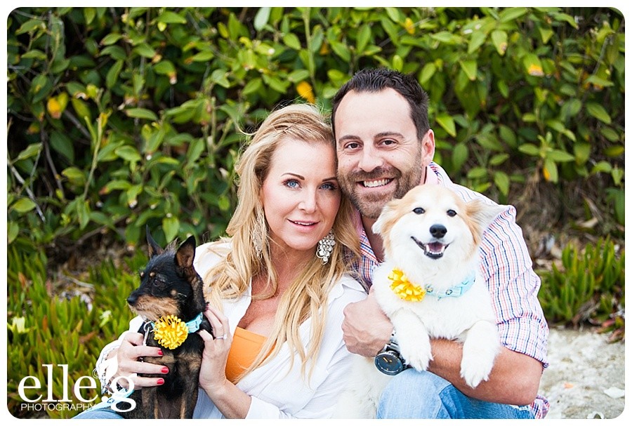 la jolla engagement photos