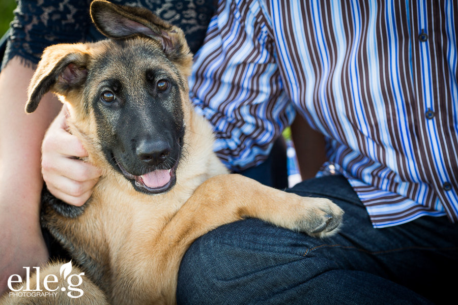 0011beach engagement photos
