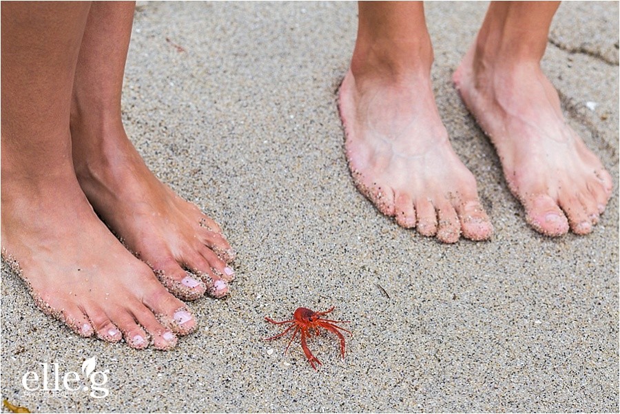 elleGphotography anniversary beach photos 4