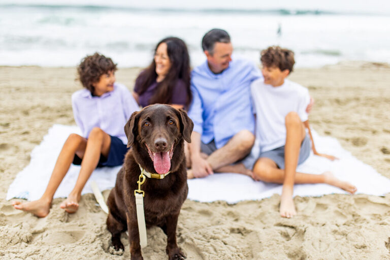 mission beach family photographer 1