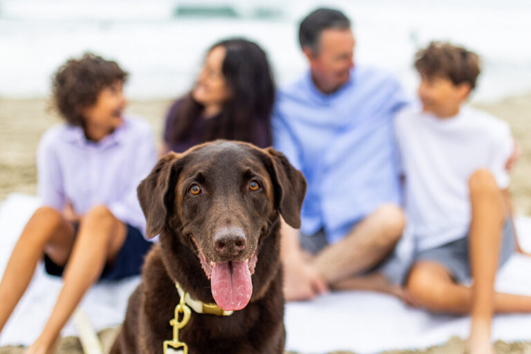 mission beach family photographer 8