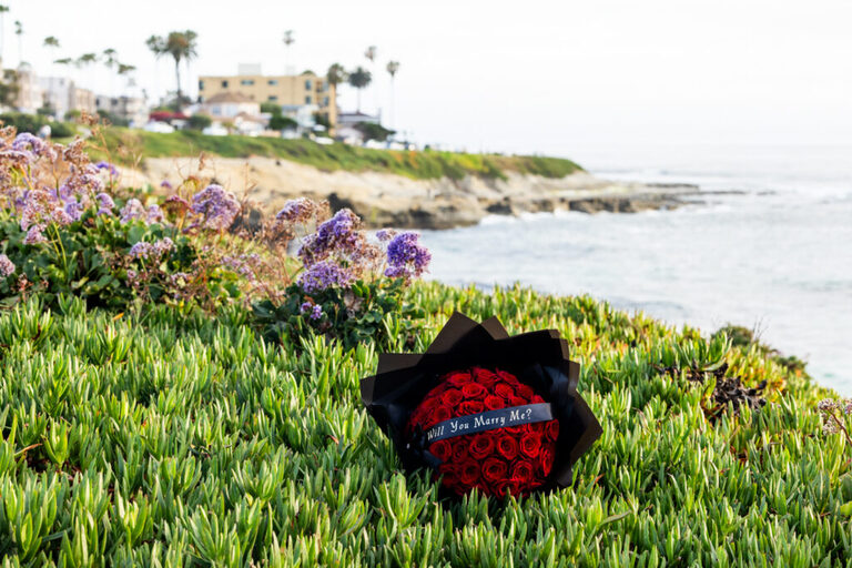 engagements in san diego 9