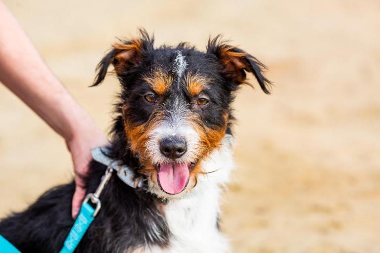 engagement photos sunset cliffs san diego | san diego photographers