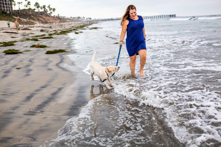 pet-photographer-san-diego-8