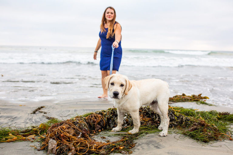 pet-photographer-san-diego-9
