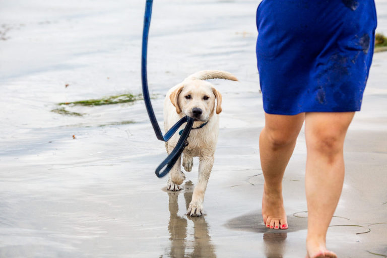 pet-photographer-san-diego-12