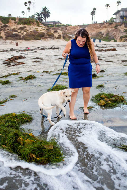 pet-photographer-san-diego-3