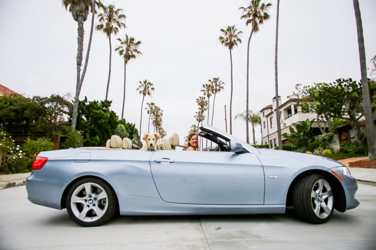 dog photography on the beach la jolla