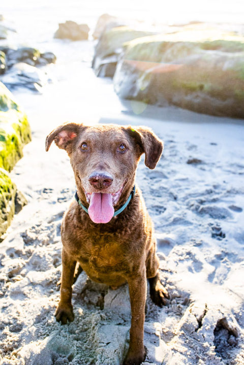 family photographer la jolla 18