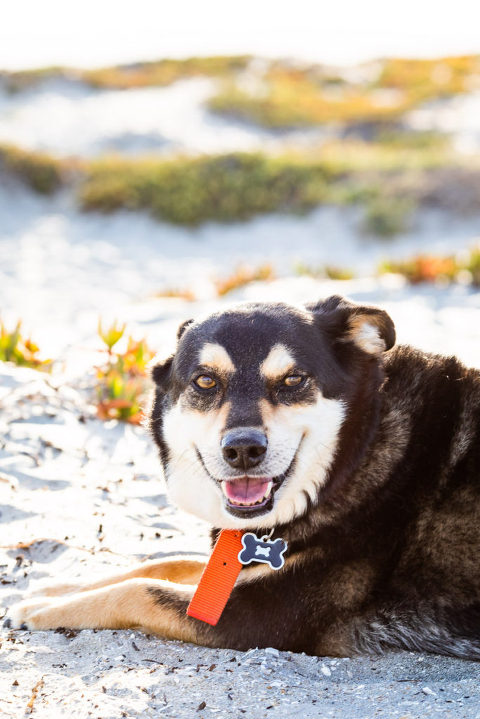 san diego lifestyle photographer 6