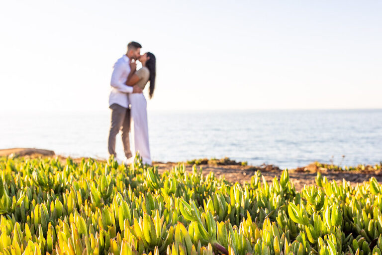 san diego proposals 3