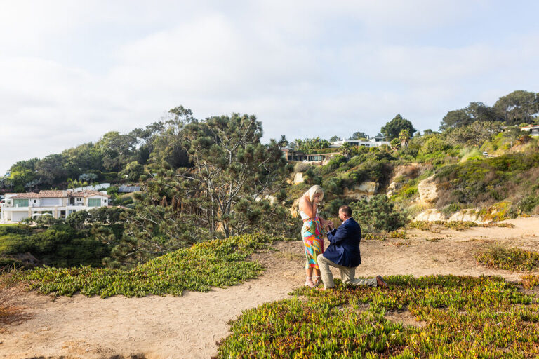 san diego proposal 2