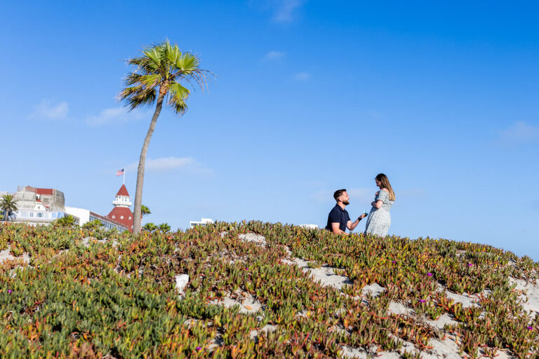 San Diego Proposal