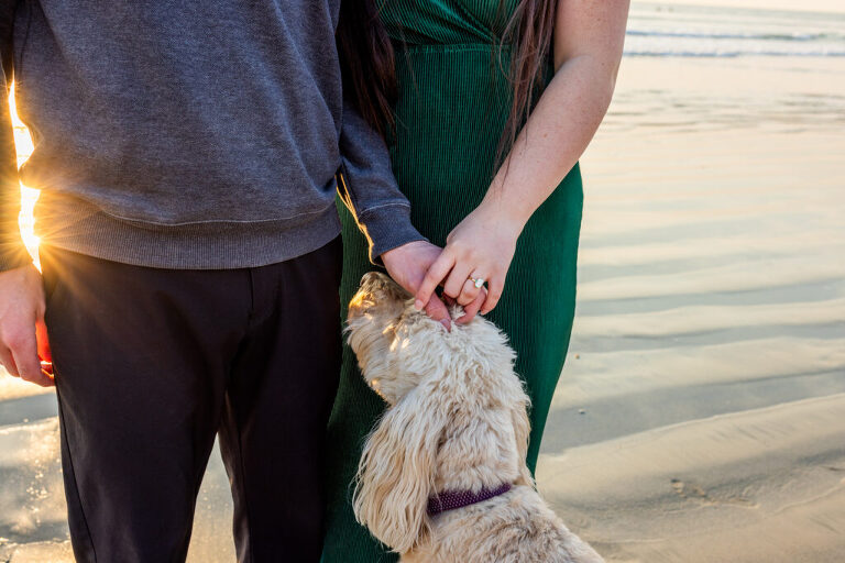 engagement photographer san diego 1