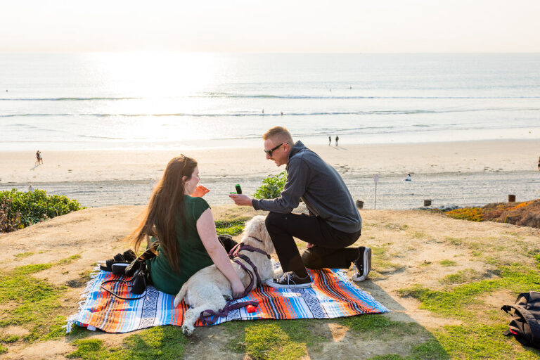 pacific beach proposal photographer 2