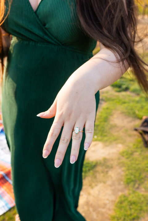 san diego proposal photographer