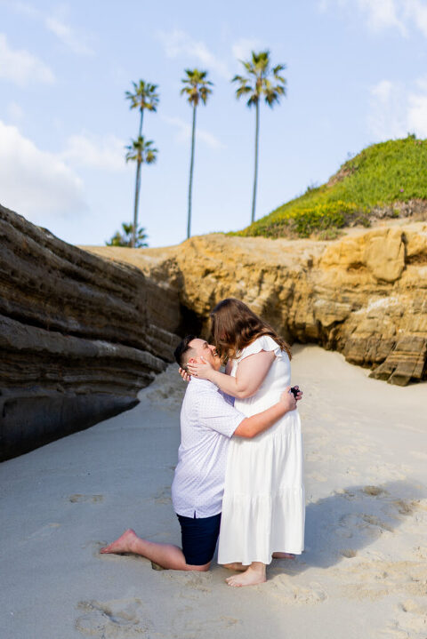 San Diego Proposal 7