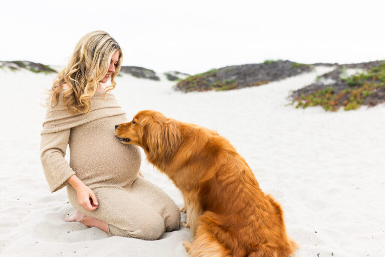 maternity photoshoots