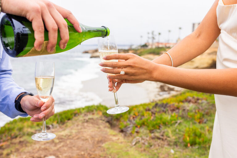 proposal engagement cuvier park elleGphoto 15