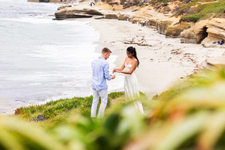 proposal engagement cuvier park elleGphoto 7