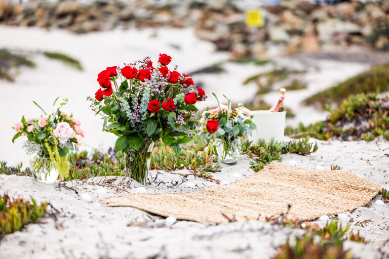 Coronado proposal photographer