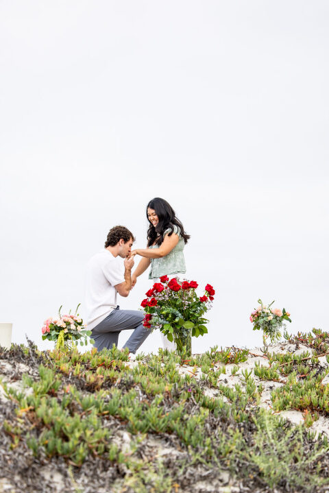 beach proposal coronado
