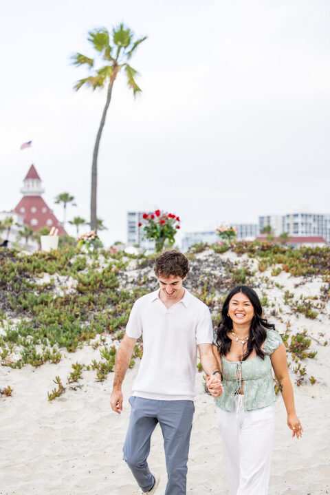 coronado beach proposal