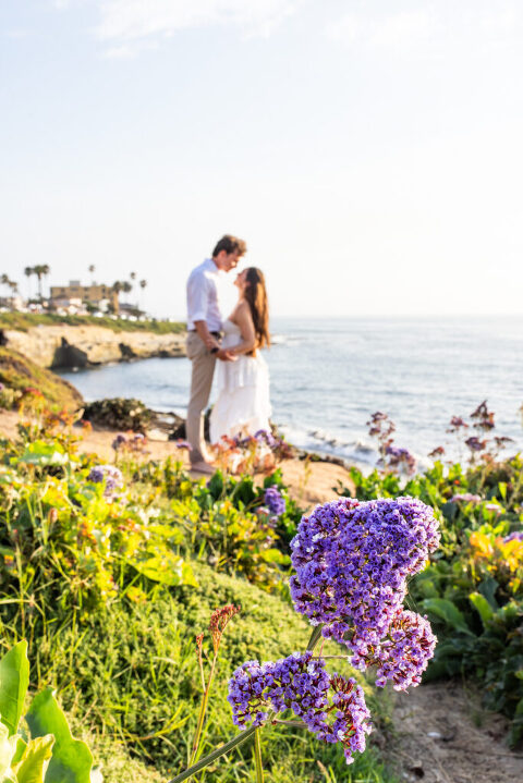 la jolla photographer 3