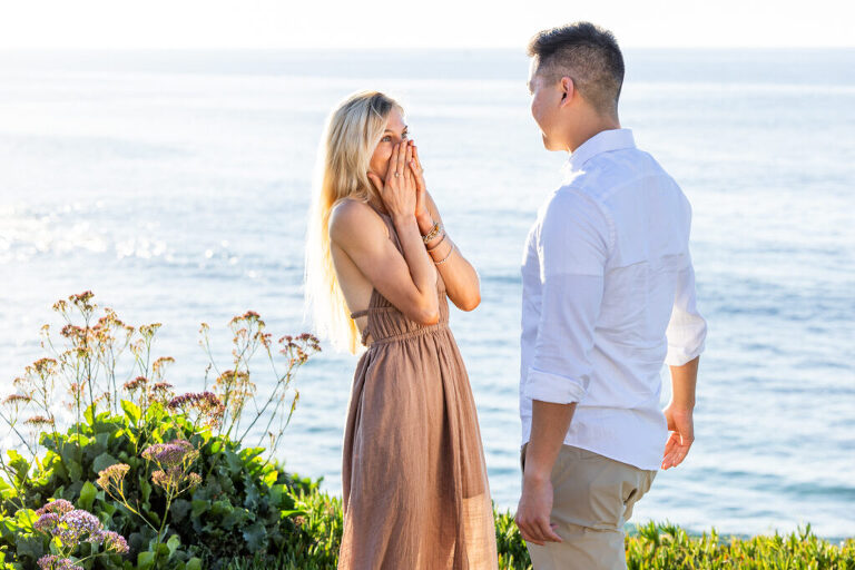 sunset bench proposal