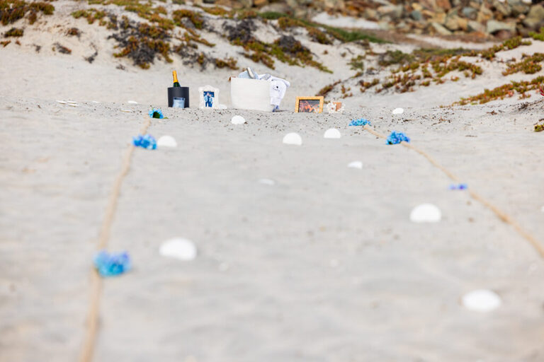 san diego beach photographer
