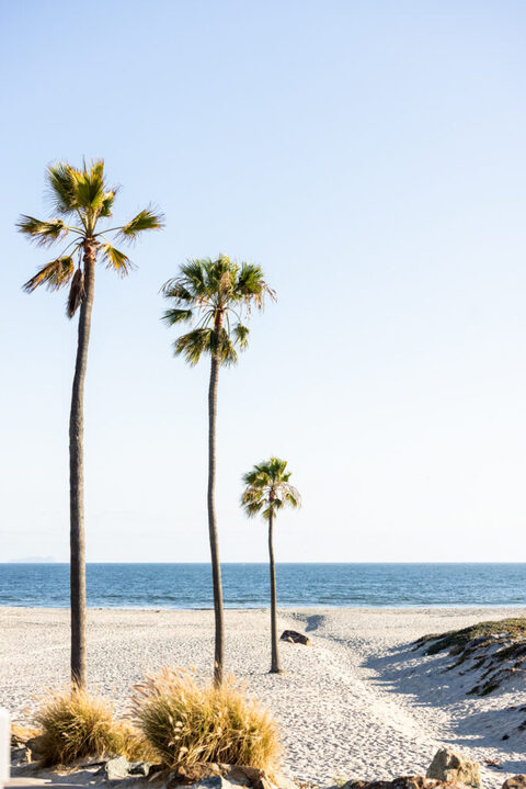 Coronado photographer
